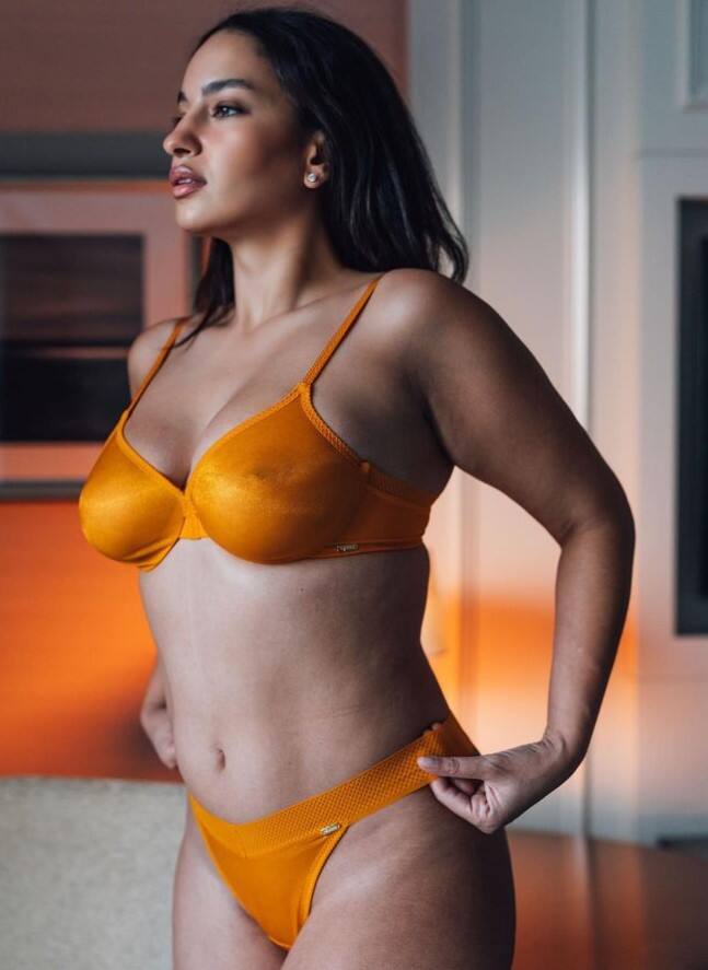 એલિના ફર્નાન્ડીસના ચાહકોની સંખ્યા ઘણી વધારે છે. તેનો પુરાવો પણ તેનું ઈન્સ્ટાગ્રામ એકાઉન્ટ છે. ફેન્સ તેને સતત ફોલો કરે છે.