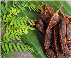 Side Effect Of Eating Tamarind : 'या' लोकांनी चुकूनही चिंचेचे सेवन करू नये, पाहा