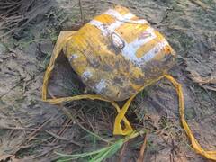 BSF ने पंजाब के तरनतारन जिले में पकड़ा संदिग्ध ड्रोन, 2.5 किलो हेरोइन बरामद