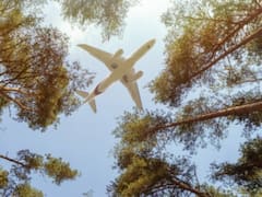 Pilot, Co-Pilot Among 14 Dead After Plane With Tourists Crashes In Brazil's Amazon State