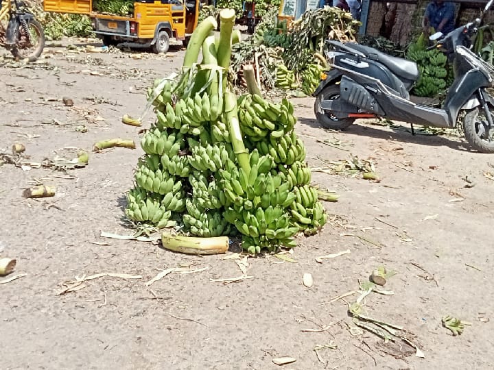 பொய்த்து போன பருவமழை - தூத்துக்குடியில் வாழைத்தார் விலை கடும் உயர்வு- நாட்டுபழத்தார் ரூ.1100, செவ்வாழைப் பழத்தார் ரூ.1400 வரை விற்பனை