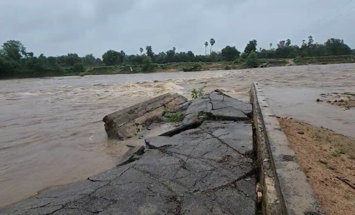 Gujarat Rain: રાજ્યના 164 તાલુકાઓમાં વરસાદ, સૌથી વધુ શહેરામાં 8 ઈંચથી વધુ વરસાદ 