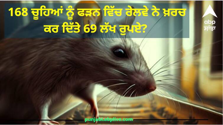 Railways looted Rs 69 lakh in catching 168 rats Now Lucknow Mandal said this Indian Railways: 168 ਚੂਹਿਆਂ ਨੂੰ ਫੜਨ ਵਿੱਚ ਰੇਲਵੇ ਨੇ ਖ਼ਰਚ ਕਰ ਦਿੱਤੇ 69 ਲੱਖ ਰੁਪਏ? ਹੁਣ ਦਿੱਤਾ ਇਹ ਸਪੱਸ਼ਟੀਕਰਨ