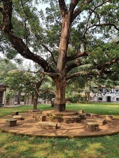 Tagore's Santiniketan On UNESCO World Heritage List. SEE PICS