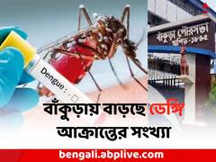 বাঁকুড়াতেও বাড়ছে ডেঙ্গি সংক্রমণ, কী বলছেন চিকিৎসকেরা ?