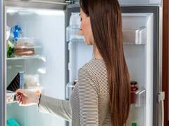 सावधान! फ्रिज में भी छिपे हो सकते हैं डेंगू के मच्छर, 6 महीने तक रह सकते हैं जिंदा