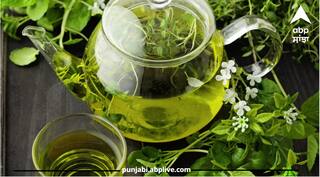 Green Tea Cultivation At Home: ਹੁਣ ਆਪਣੇ ਘਰ ਦੀ ਬਾਲਕਨੀ 'ਚ ਉਗਾਓ ਗ੍ਰੀਨ ਟੀ, ਕੁਝ ਹੀ ਦਿਨਾਂ 'ਚ ਤਿਆਰ ਹੋ ਜਾਵੇਗਾ ਪੌਦਾ