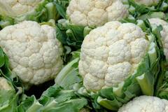 Cauliflower disadvantages: ਜਾਣੋ ਕਿਹੜੇ-ਕਿਹੜੇ ਲੋਕਾਂ ਨੂੰ ਫੁੱਲ ਗੋਭੀ ਖਾਣ ਤੋਂ ਕਰਨਾ ਚਾਹੀਦੈ ਪਰਹੇਜ਼