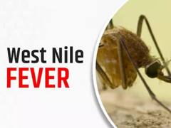 अमेरिका में तेजी से पांव पसार रहा वेस्ट नाइल वायरस, दर्ज की गई साल की पहली मौत