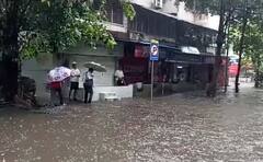 Rain : मुसळधार पावसामुळं राजस्थानसह मध्य प्रदेशात जनजीवन विस्कळीत