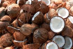 Hindu Rituals: हिंदू धर्मात महिला नारळ का फोडत नाहीत? तर 'ही' आहेत या मागील काही कारणं