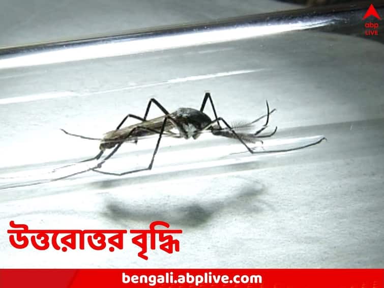 Dengue situation in WB worsens Suvendu Adhikari attacks state government Dengue Situation: রাজ্যে ডেঙ্গি আক্রান্তের সংখ্যা ২৪ হাজার ৭০৯, প্রশাসন ব্যর্থ বলে তোপ শুভেন্দুর