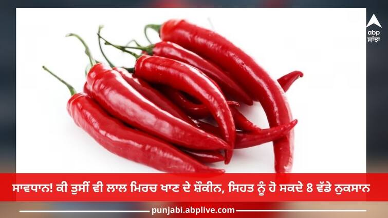 Red Chilli: Beware! Are you also fond of eating red pepper, there may be 8 major damage to health Red Chilli: ਸਾਵਧਾਨ! ਕੀ ਤੁਸੀਂ ਵੀ ਲਾਲ ਮਿਰਚ ਖਾਣ ਦੇ ਸ਼ੌਕੀਨ, ਸਿਹਤ ਨੂੰ ਹੋ ਸਕਦੇ 8 ਵੱਡੇ ਨੁਕਸਾਨ