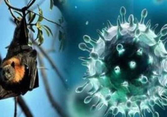 ਮਾਸਪੇਸ਼ੀਆਂ ਵਿੱਚ ਦਰਦ: ਮਾਸਪੇਸ਼ੀਆਂ ਵਿੱਚ ਦਰਦ ਅਤੇ ਦਰਦ ਹੋ ਸਕਦੇ ਹਨ, ਫਲੂ ਵਰਗੇ ਲੱਛਣਾਂ ਦੇ ਸਮਾਨ। >> ਥਕਾਵਟ: ਬਹੁਤ ਜ਼ਿਆਦਾ ਕਮਜ਼ੋਰੀ ਅਤੇ ਥਕਾਵਟ ਹੋ ਸਕਦੀ ਹੈ। >> ਚੱਕਰ ਆਉਣੇ: ਮਰੀਜ਼ਾਂ ਨੂੰ ਚੱਕਰ ਆਉਣੇ ਜਾਂ ਭਟਕਣਾ ਦਾ ਅਨੁਭਵ ਹੋ ਸਕਦਾ ਹੈ।