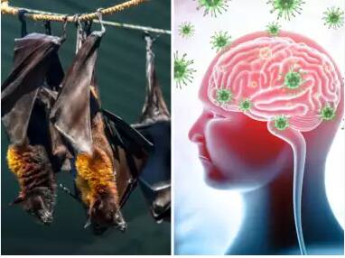 ਸਿਰ ਦਰਦ: ਸਿਰ ਦਰਦ ਇੱਕ ਆਮ ਸ਼ੁਰੂਆਤੀ ਲੱਛਣ ਹੈ।