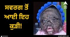 Viral News: ਸਵਰਗ ਤੋਂ ਆਈ ਇਹ ਕੁੜੀ! ਸਾਰੇ ਚਿਹਰੇ 'ਤੇ ਰਿੱਛ ਵਰਗੇ ਵਾਲ! ਜਾਣੋ ਕੀ ਰਾਜ਼?