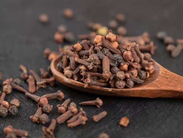 benefits of eating cloves at night for your health detail marathi news Cloves रात्री लवंग