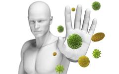 Health : જીવનભર પાસે ફરકશે પણ નહિ બીમારી, બસ આ પાંચ નેચરલ ફૂડને રૂટીન ડાયટમાં કરો સામેલ