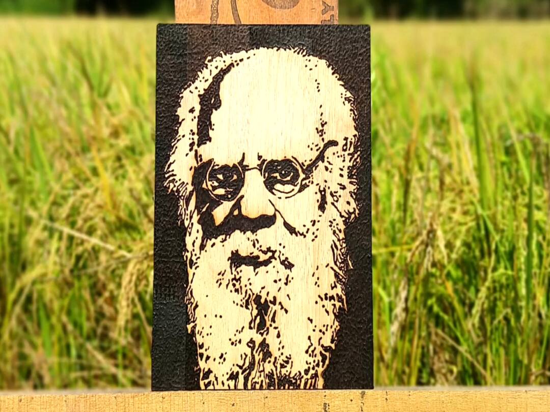 Mayiladuthurai  Periyar's birthday sun wood burning art TNN சூரிய ஒளியில் உருவான ஓவியம் - மயிலாடுதுறையில் வைரலாகும் பெரியார்
