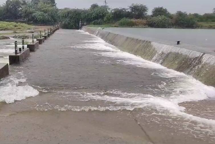 Amreli Rain: Due to continue ran in Bagsara Munjiyasar Dam overflow 5 villages alert Amreli Rain: બગસરાનો મુંજીયાસર ડેમ ઓવરફ્લો, 5 ગામોને કરાયા એલર્ટ