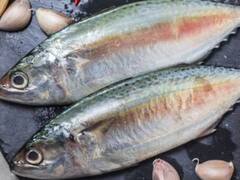 ऐसा क्या हुआ कि मछली खाते ही महिला के हाथ-पैर काटने पड़े, वजह जानकर नहीं होगा यकीन