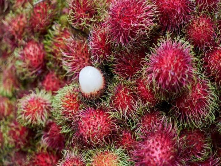 health tips what is rambutan fruit how it beneficials in nipah virus क्या है रामबूटन फल, निपाह वायरस से इसका कैसा कनेक्शन, क्यों हो रही इसकी चर्चा