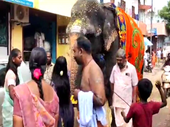 Vinayagar Chathurthi 2023: மயிலாடுதுறையில் யானை அபயாம்பிகைக்கு கஜ பூஜை செய்து வழிபட்ட பக்தர்கள்