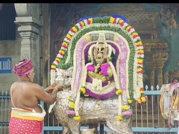 Vinayagar Chaturthi 2023 Devotees visit world famous Pilliyarpatti for Sami Darshan TNN Vinayagar Chaturthi 2023: உலகப் பிரசித்திபெற்ற பிள்ளையார்பட்டியில் சாமி தரிசனத்திற்காக பக்தர்கள் வருகை