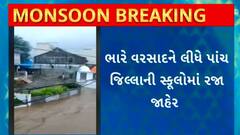 Gujarat Rain : રાજ્યમાં ભારે વરસાદને લીધે 5 જિલ્લાની સ્કૂલોમાં રજા જાહેર કરાઈ