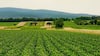 AgTech: The Key To A Sustainable World