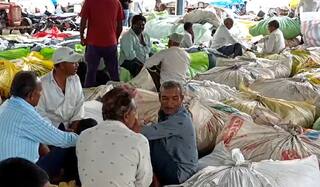 Agriculture News: સાવરકુંડલા એપીએમસીમાં કપાસ વેચવા આવેલા ખેડૂતો વેચાણ કર્યા વગર કેમ પરત ફર્યા? જાણો વિગત