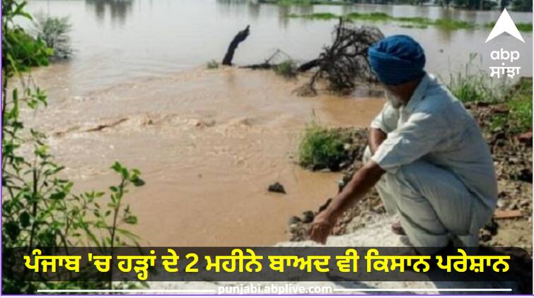 Even after 2 months of flood in Punjab, farmers are worried read more information Punjab Flood: ਪੰਜਾਬ 'ਚ ਹੜ੍ਹਾਂ ਦੇ 2 ਮਹੀਨੇ ਬਾਅਦ ਵੀ ਕਿਸਾਨ ਪਰੇਸ਼ਾਨ, ਕਿਤੇ ਖੇਤਾਂ 'ਚ 3-4 ਫੁੱਟ ਤੱਕ ਭਰਿਆ ਪਾਣੀ ਤਾਂ ਕਿਤੇ ਰੇਤ ਹੀ ਰੇਤ