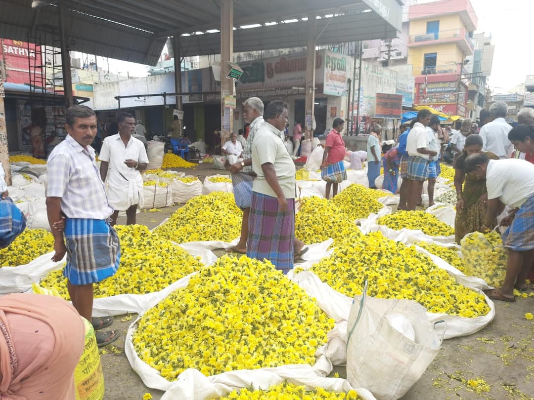 Vinayagar Chaturthi, the prices of flowers have fallen. Marigolds are