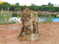 மதுரையில் நாயக்கர் காலத்தை சேர்ந்த   கருப்பசாமி  சிலை கண்டெடுப்பு