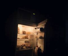 Health Tips : तुमच्या फ्रीजच्या ट्रेमध्येही आहे डेंग्यूचा डास, 6 महिने राहू शकतो जिवंत