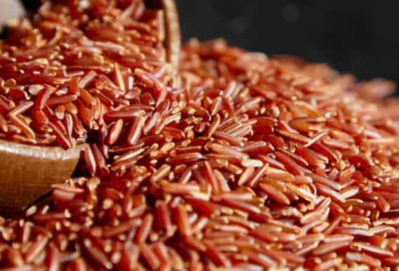 Most expensive rice: This is the most expensive rice in the world, know its specialty