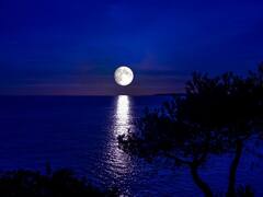 चंद्रमा पर कहां से पहुंचा था पानी? इस स्पेस एजेंसी ने किया बड़ा खुलासा