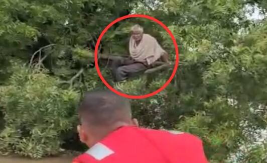 A man stuck in flood water sat on a neem tree NDRF Rescue Bharuch: પૂરના પાણીમાં ફસાયા આધેડ, આખી રાત લીમડાના ઝાડ ઉપર બેઠા, NDRF એ કર્યું રેસ્ક્યૂ