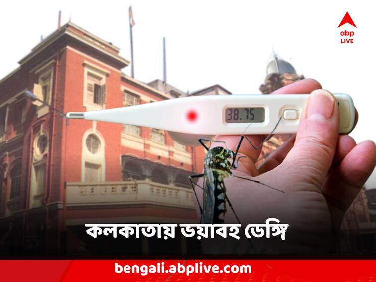 Dengue till 5 September number of dengue cases in Bengal is about 25 thousand,1500 affected in KMC area Dengue : ৫ সেপ্টেম্বর পর্যন্ত বাংলায় ডেঙ্গি আক্রান্তের সংখ্য়া প্রায় ২৫ হাজার ! KMC এলাকাতেই আক্রান্ত ১৫০০