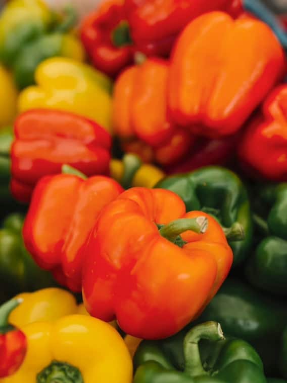 শীতে ক্যাপসিকামের গুণই আলাদা, জেনে রাখুন