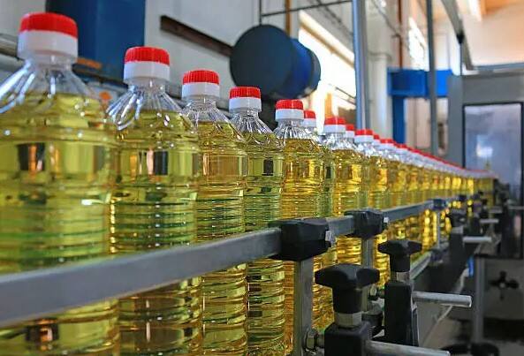 Groundnut oil price has risen again likely to reach Rs 3300 by Diwali 2023 Rajkot: સિંગતેલના ભાવમાં ફરી થયો ભડકો, દિવાળી સુધીમાં 3300 રૂપિયા થવાની શક્યતા