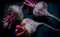 Skin Care Tips : चेहऱ्यासाठी बीटरूटचा वापर कसा करावा? काही आठवड्यांत परिणाम दिसून येईल