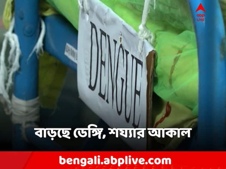 dengue cases is increasing across the state, Hospital bed shortage in kolkata Dengue Update: লাফিয়ে বাড়ছে ডেঙ্গি হাসপাতালে বেডের আকাল