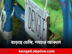 লাফিয়ে বাড়ছে ডেঙ্গি হাসপাতালে বেডের আকাল