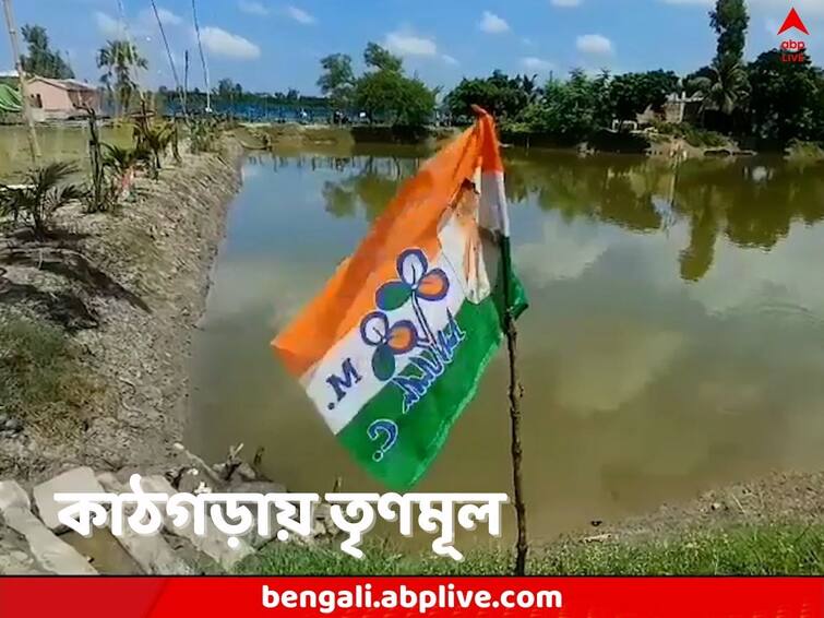 South 24 Parganas Raidighi Local allege TMC has taken over a govenment pond Raidighi News: মাছের টাকায় ভাগ বসানোর অভিযোগ, রায়দিঘিতে সরকারি পুকুরের দখল নেওয়ায় অভিযুক্ত তৃণমূল