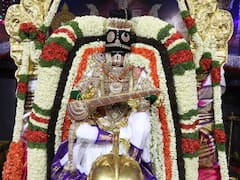 ఫోటోలు: సాల‌క‌ట్ల బ్రహ్మోత్సవాల్లో నేడు హంస వాహనంపై మలయప్ప స్వామి - ఫోటోలు చూడండి