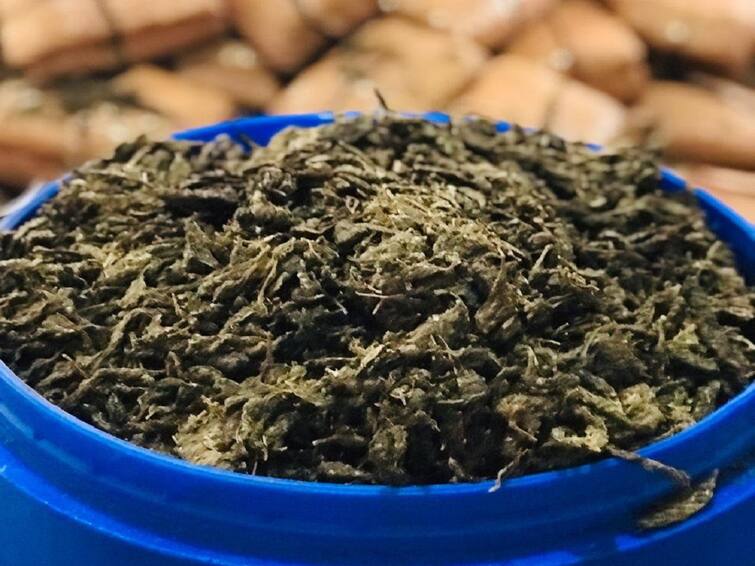 Ganja smugglers leaves 980 kgs and escapes near Andhra Odisha boarder Ganja Smugglers: గంజాయి స్మగ్లర్ల బరితెగింపు! సినిమా రేంజ్‌లో పోలీసులకు ముప్పుతిప్పలు - చివరికి