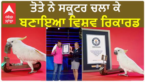 Parrot in Guinness book of records | ਤੋਤੇ ਨੇ ਸਕੂਟਰ ਚਲਾ ਕੇ ਬਣਾਇਆ ਵਿਸ਼ਵ ਰਿਕਾਰਡ, ਦੇਖੋ ਵੀਡੀਓ 'ਚ ਹੈਰਾਨੀਜਨਕ ਕਾਰਨਾਮਾ