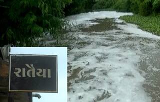 Methoda GIDC chemical water was released into a river at Rataiya village in Lodhika Rajkot: મેટોડા GIDCનુ કેમિકલ યુક્ત પાણી લોધિકાના રાતૈયા ગામની નદીમાં  છોડાતા ખેડૂતોમાં ભારે રોષ