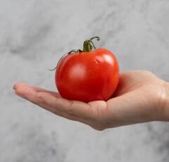 Health News: ਟਮਾਟਰ ਖਾਣ ਨਾਲ ਘੱਟ ਹੋ ਸਕਦੈ ਪੁਰਸ਼ਾਂ ਵਿੱਚ ਪ੍ਰੋਸਟੇਟ ਕੈਂਸਰ ਦਾ ਖ਼ਤਰਾ